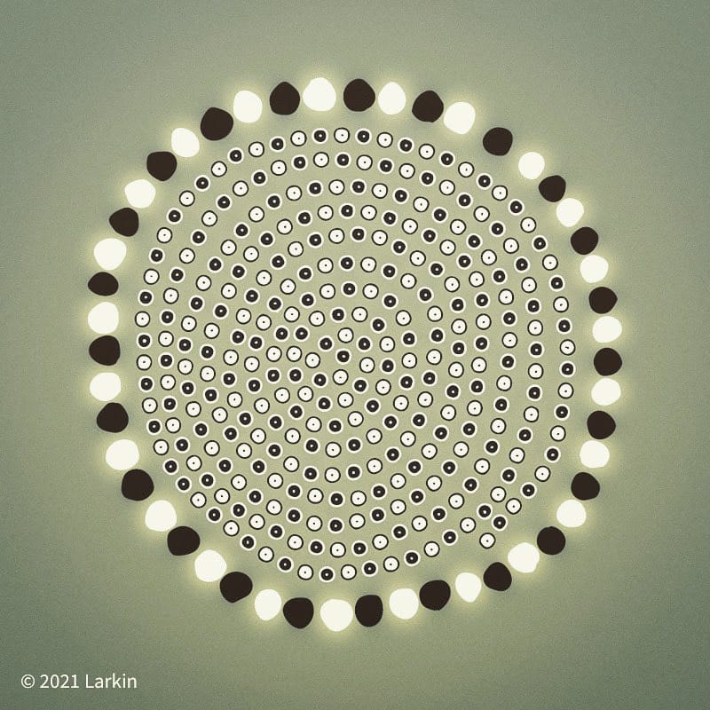 Through the Eyes of a Fruit Fly